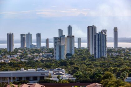 Palmas é a terceira capital mais arborizada do Brasil, aponta IBGE